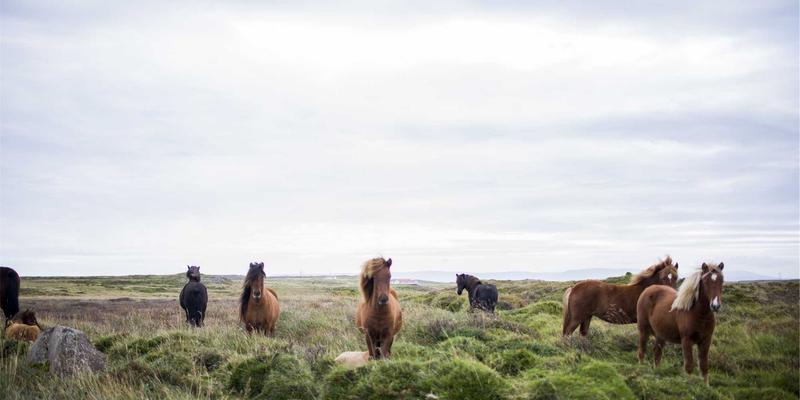 上海易饰家半包装修全解析:从硬装基础到软装灵魂,打造理想家居