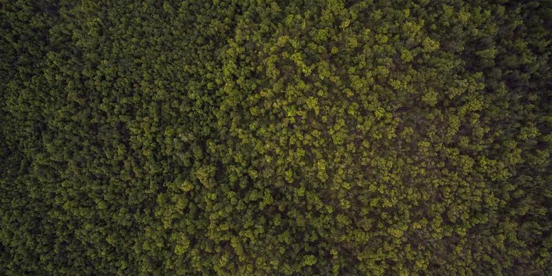 上海易饰家真实业主调研：波西米亚风家居，入住一年后满意度如何？