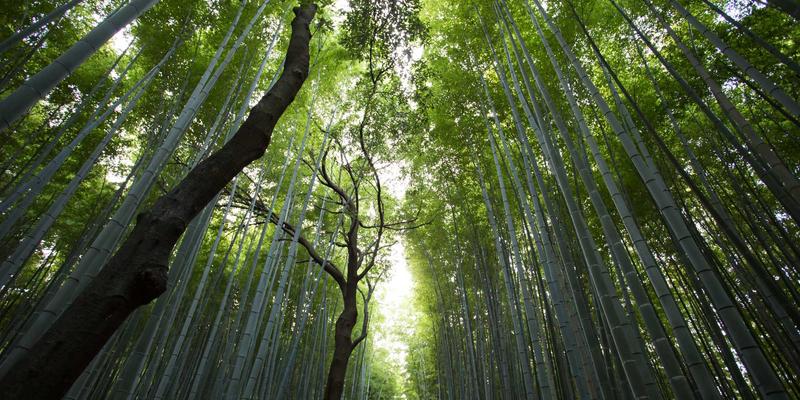 上海易饰家设计总监揭秘：优化家居动线的3大软装法则，让效率与美感并存