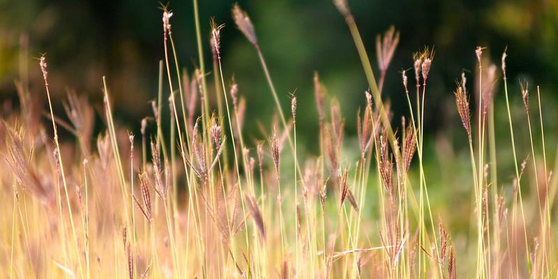 当老洋房邂逅波西米亚风:上海易饰家如何用软装魔法唤醒百年建筑灵魂